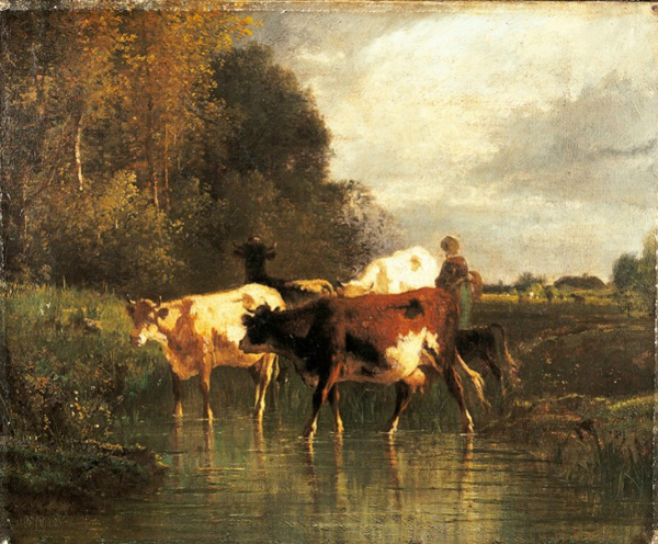 Vaches à l'abreuvoir